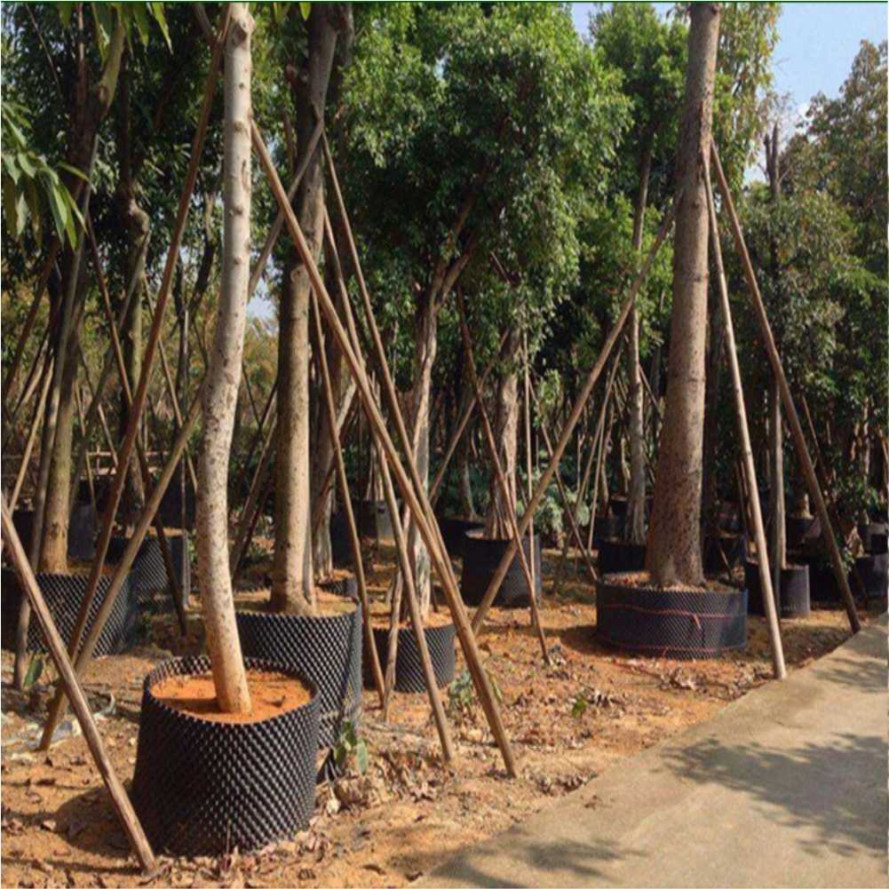 Grow Container Garden Tree Bon - Outdoor Furniture Metal บทวิจารณ์และราคา